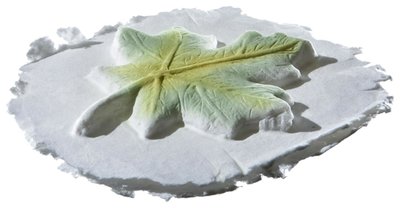 Leaf Token Biodegradable