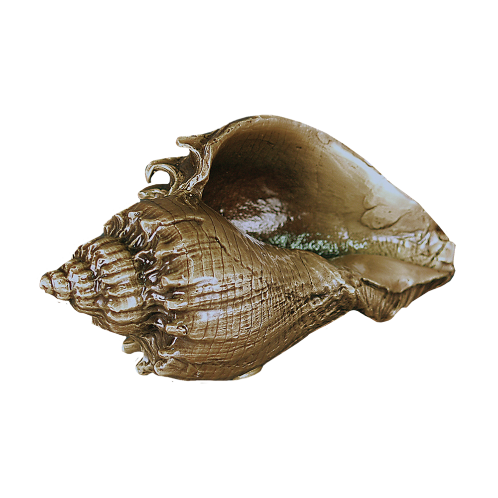 CONCH SHELL Keepsake